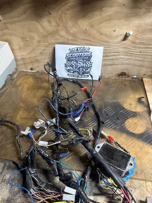 Piaggio zip 2t kabelboom